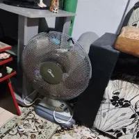 پنکه
