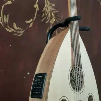 عود الکتروآکوستیک