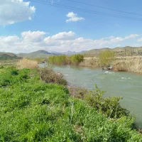 فروش-مرغداری-دیواندره-سند-تک-برگ