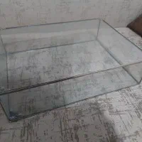 باکس کاپ کیک خواستگاری و بله برون