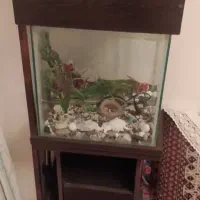 آکواریوم ماهی