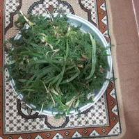 تره کوهی