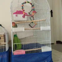 قفس پرنده درحد نو بزرگ و کوچک