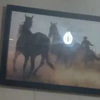 شب خواب