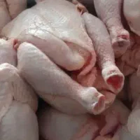 پخش مرغ قطعه بندی مرغ