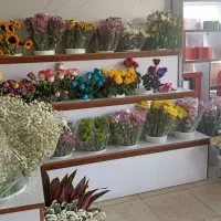 تزئین کار گل شاخه ایی