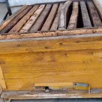 کندو عسل خالی 10 قاب