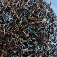 چای لاهیجان