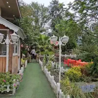 فروش رستوران اقامتگاهی در جاده ماسوله فومن|فروش مغازه و غرفه|ماکلوان, |دیوار