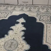 لوازم فروشی|فرش|ایلام, |دیوار