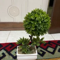 کاربردی سالم نو ورق بزنید|حراج|قزوین, |دیوار