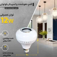 لامپ اسپیکر دار|ریسه و چراغ تزئینی|رشت, منظریه|دیوار