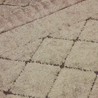 ۲ تخته فرش ۶ متری رنگ (صورتی )|فرش|اهواز, کمپلو شمالی|دیوار