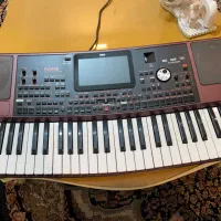 ارگ یا کیبورد pa1000 استثنایی و خانگی|پیانو، کیبورد، آکاردئون|ساری, |دیوار