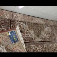 فرش ۱۲متری در حد نو|فرش|شیراز, وصال|دیوار