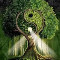 تابلوهای مدیتیشن و یوگا