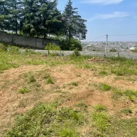 شهرک یثرب زمین ۶۰۰ متری ویودار