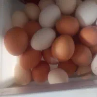 تخم‌مرغ محلی و گلین