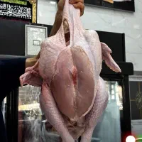 گوشت محلی کشتار روز بوقلمون اردک غاز مرغ و خروس|خوردنی و آشامیدنی|تهران, نیروی هوایی (پیروزی)|دیوار