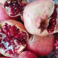 ملک کشاورزی .چاه دربست . و باغ پسته|فروش دفتر صنعتی، کشاورزی، تجاری|ساوه, |دیوار