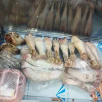 فیله مرغ   و چرخ کرده   ...|خوردنی و آشامیدنی|تهران, آهنگ|دیوار
