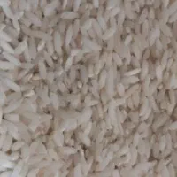 ۳۰کیلو برنج چمپا