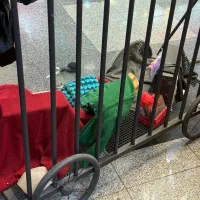 دکور|لباس|تهران, امام زاده حسن|دیوار