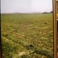 زمین کشاورزی بالاتر از زندان  جاده قلندر آباد