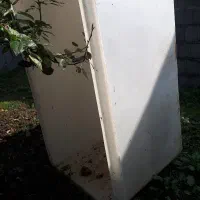 وان نگهداری ماهی زنده