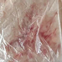 دنبه تازه بره بومی