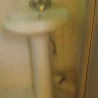 روشویی باشیر تمام تشکیلات فروش فوری|لوازم سرویس بهداشتی|مشهد, شهرک بهارستان|دیوار