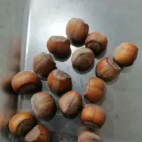 فندوق|خوردنی و آشامیدنی|یزد, |دیوار