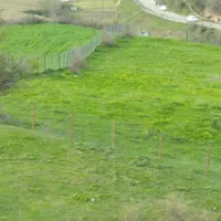 فروش زمین ۳۴۷۴ متری|فروش زمین و ملک کلنگی|توتکابن, |دیوار