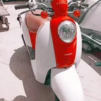 پاکشتی اسکوپی تمیز