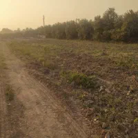 باغچه-زمین-دزفول