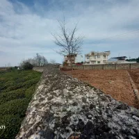 زمین سنددار  کاربری مسکونی ویلا و آپارتمان ویودار|فروش زمین و ملک کلنگی|کلاچای, |دیوار