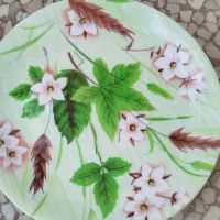 همه ظروف به فروش میرسد|ظروف سرو و پذیرایی|کاشان, فاز ۲ ناجی آباد|دیوار