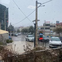 مغازه بر‌ بلوار اصلی