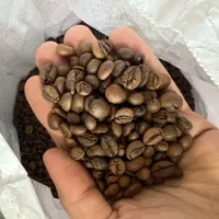 قهوه|عمده‌فروشی|تهران, خاک سفید|دیوار