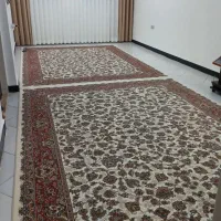 پرده نو نو