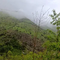 شریک و سرمایه گذار در دام و...با۳۰هکتار مرتع