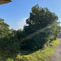 فروش زمین ۱۸۶ متری