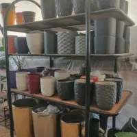 گلدان|گل و گیاه طبیعی|شیراز, شهرک گلستان|دیوار