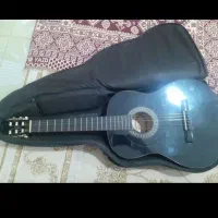 گیتارماکسین