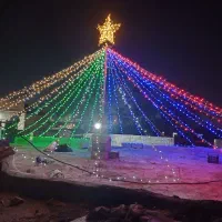 ریسه ای علیرضا|خدمات پذیرایی، مراسم|میناب, |دیوار