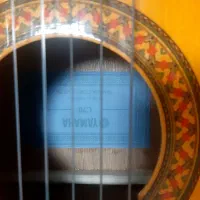 گیتار|گیتار، بیس، امپلیفایر|سبزوار, امیریه|دیوار