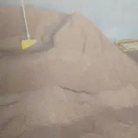 فروش سویا دامی