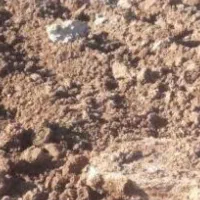 فروش زمین