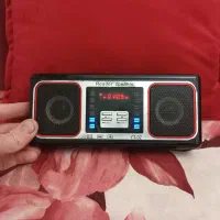 اسپیکر رم فلش حور