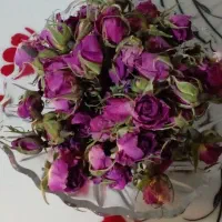 فروش غنچه گل محمدی